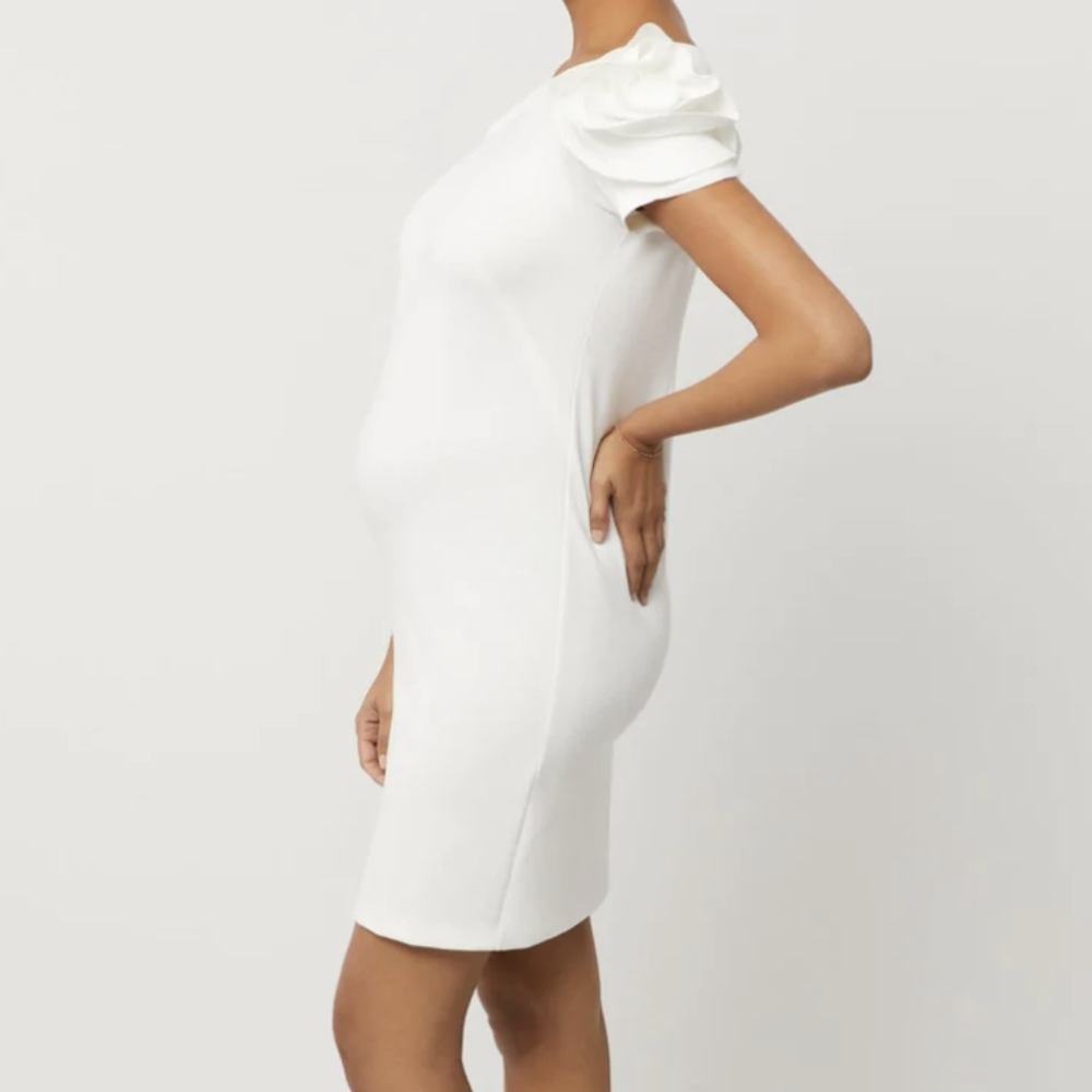Maternity Pietro Brunelli SalisburgoCocktail Dress